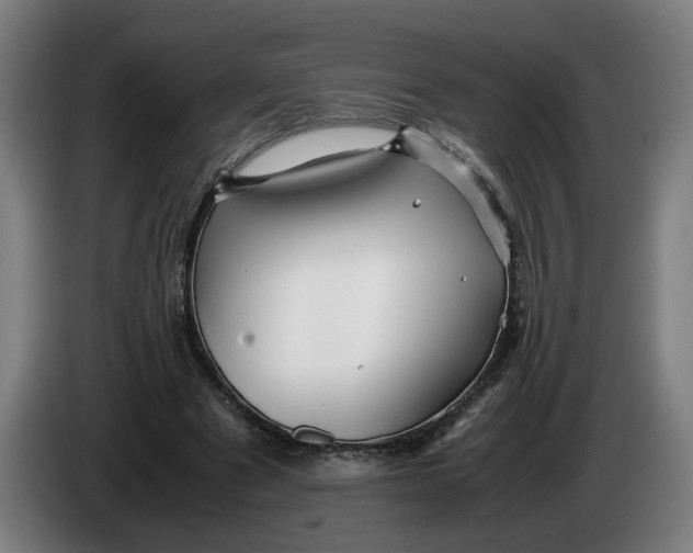 X0000086260489200704191907