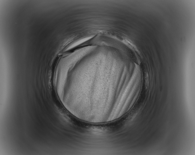 X0000086260490200704191907