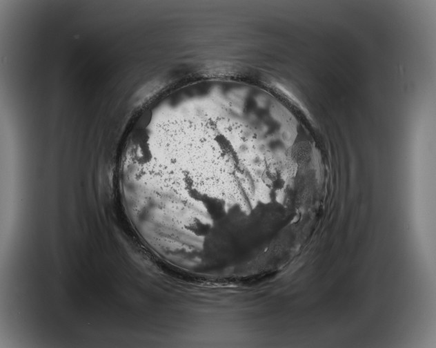 X0000086260491200704191907