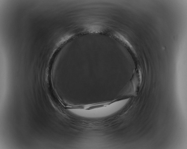 X0000086260492200704191907