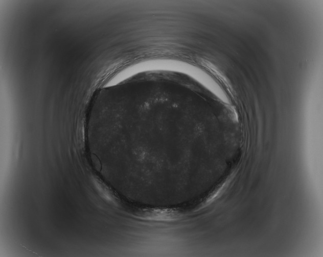 X0000086260493200704191907