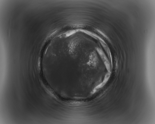 X0000086260494200704191907