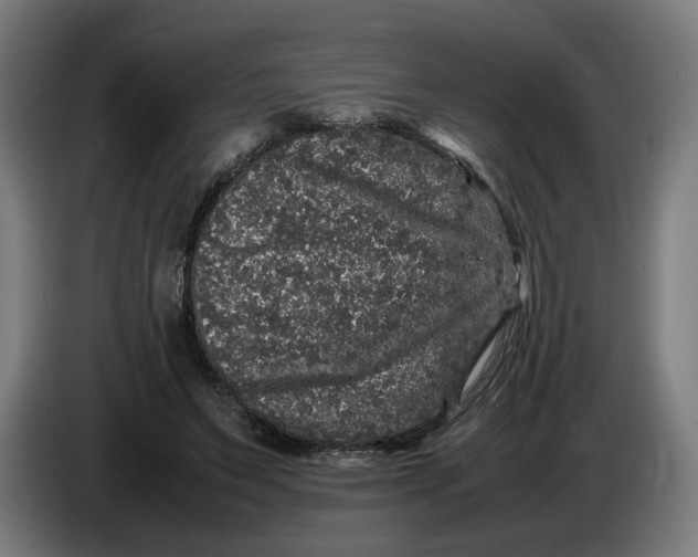 X0000086260495200704191907