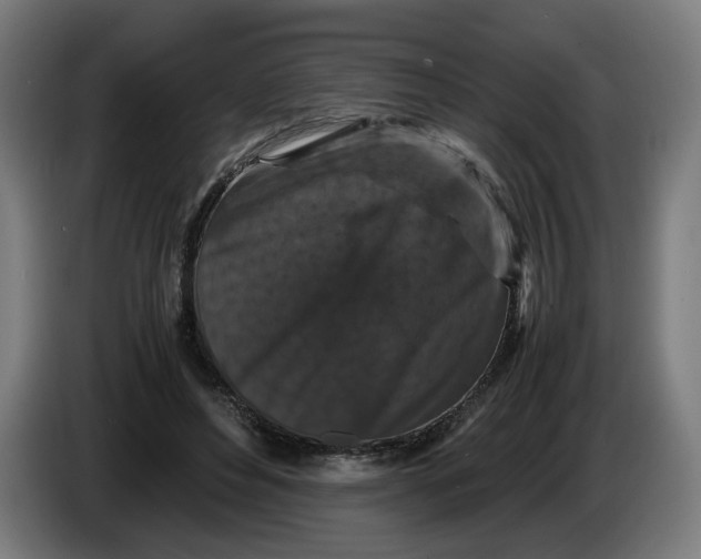 X0000086260496200704191907