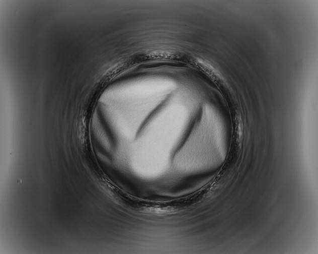 X0000086260498200704191906