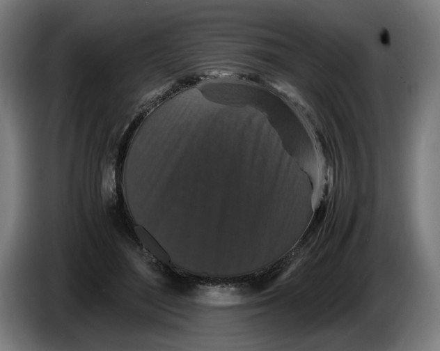 X0000086260500200704191906