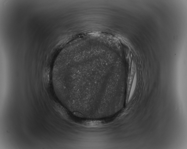 X0000086260501200704191906