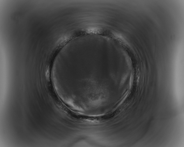 X0000086260502200704191906