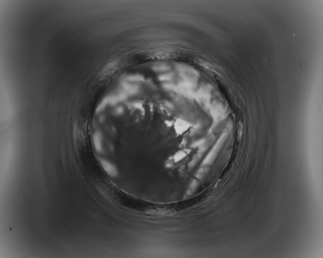 X0000086260503200704191906
