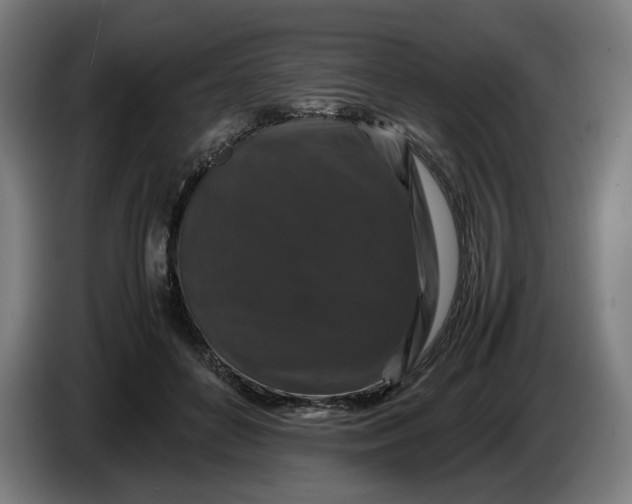X0000086260504200704191906