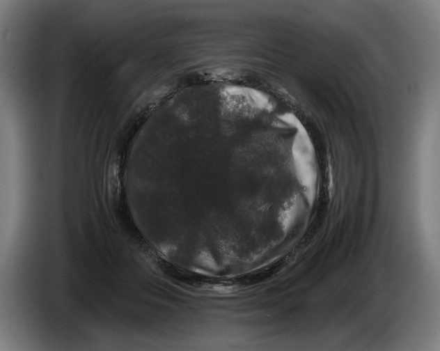 X0000086260506200704191906