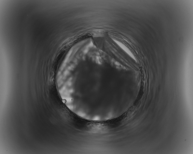 X0000086260507200704191906