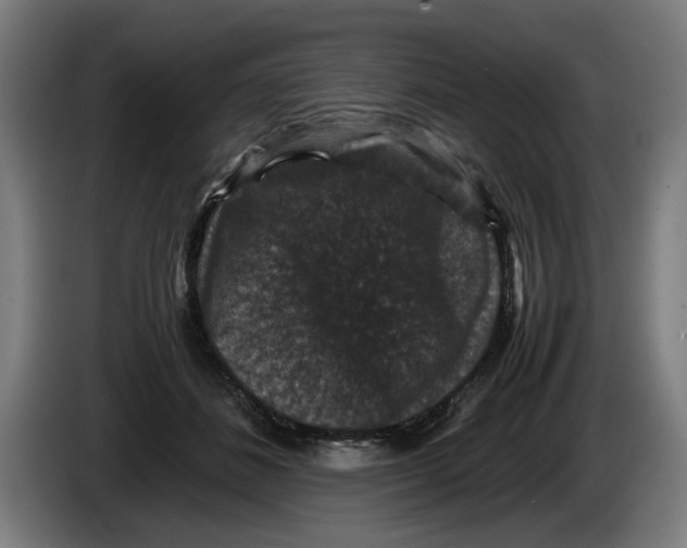 X0000086260508200704191906