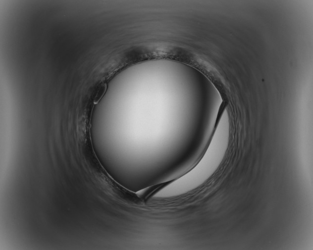 X0000086260509200704191906