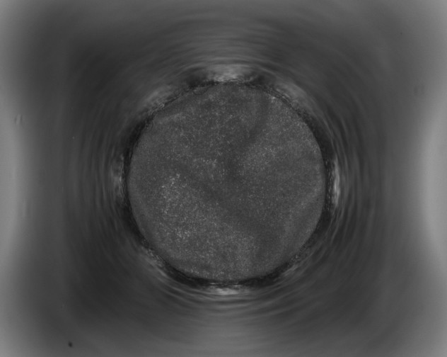 X0000086260510200704191906