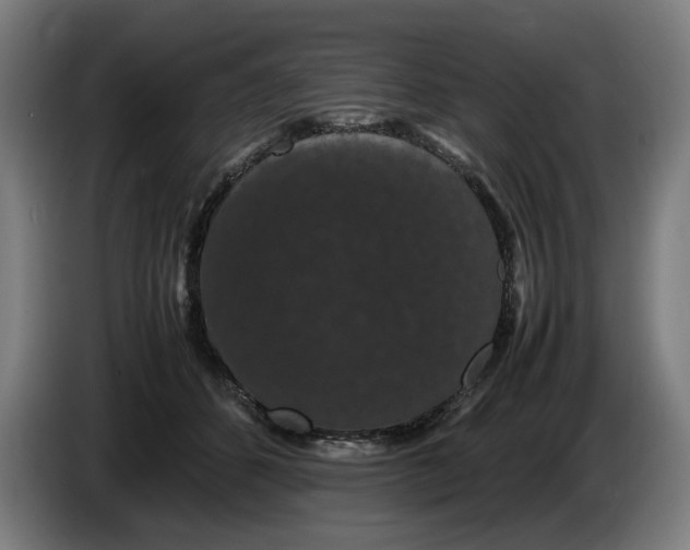 X0000086260512200704191906