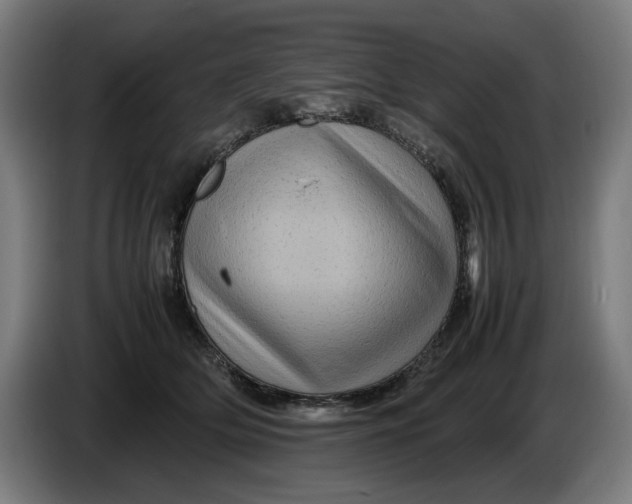 X0000086260514200704191906