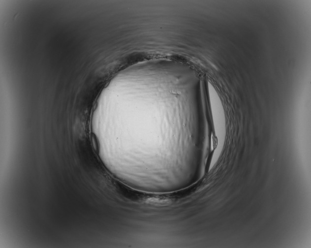 X0000086260515200704191906