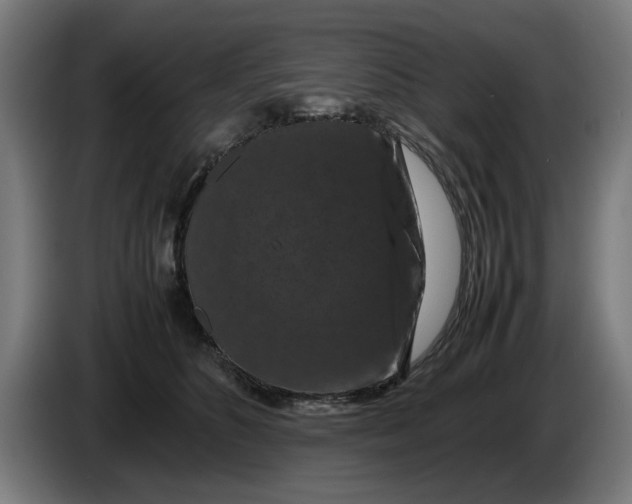X0000086260516200704191906