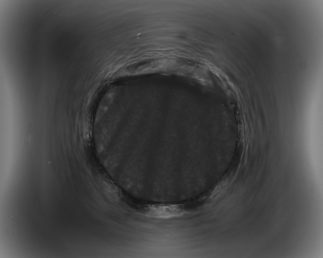 X0000086260517200704191906