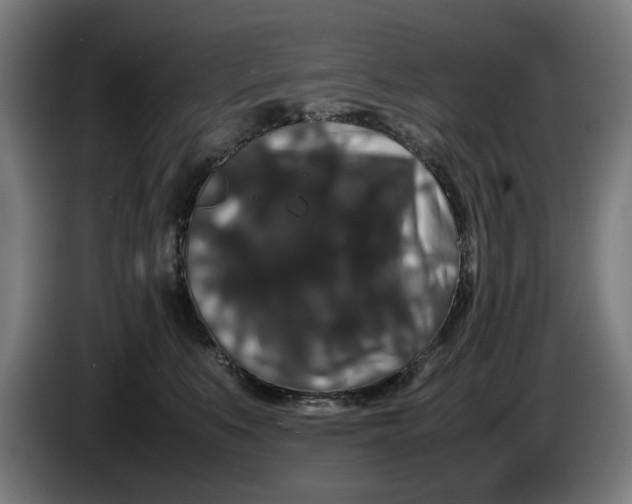 X0000086260519200704191906