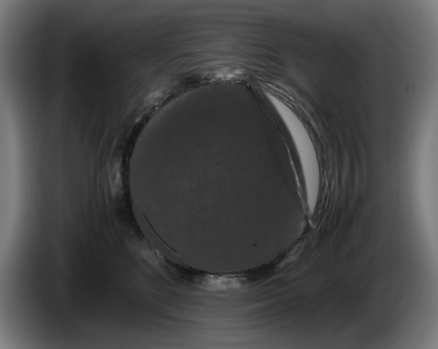 X0000086260520200704191906