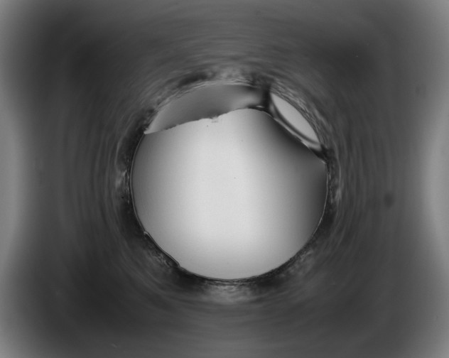 X0000086260521200704191906