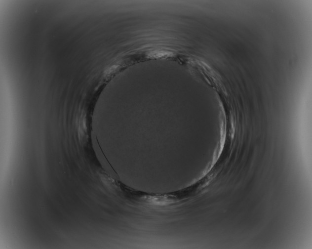 X0000086260524200704191906