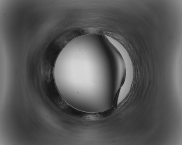X0000086260525200704191906