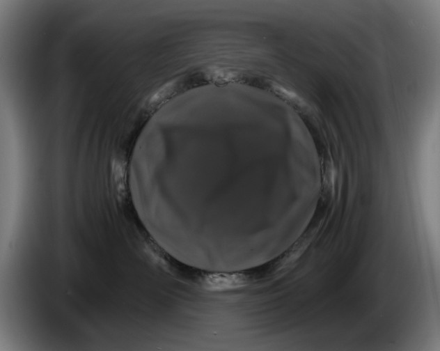 X0000086260526200704191906