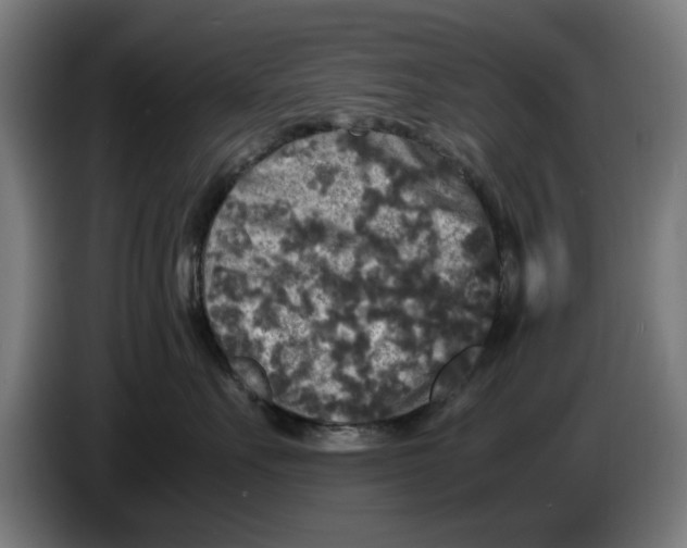 X0000086260527200704191906