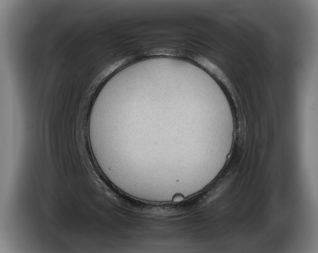 X0000086260529200704191905