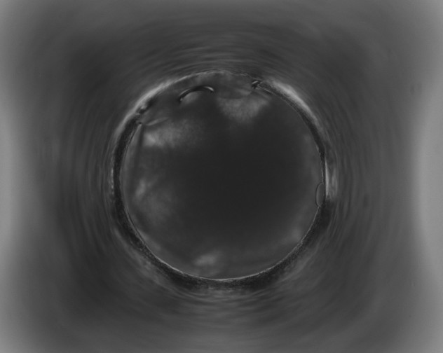 X0000086260531200704191905