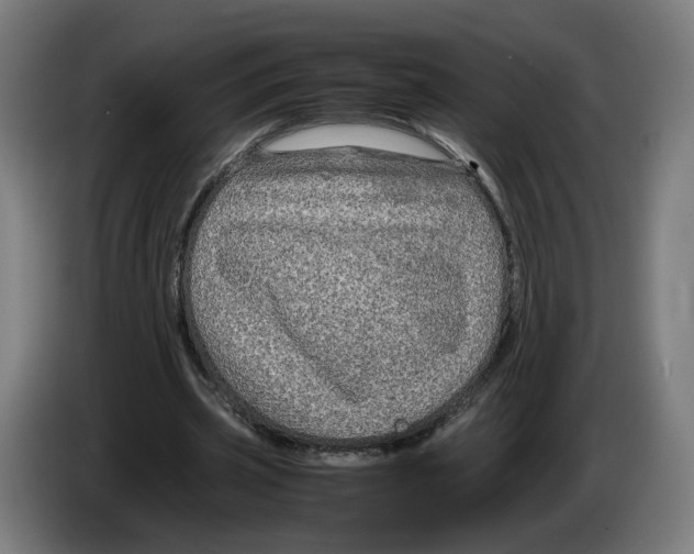X0000086260533200704191905