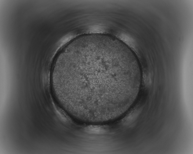 X0000086260534200704191905