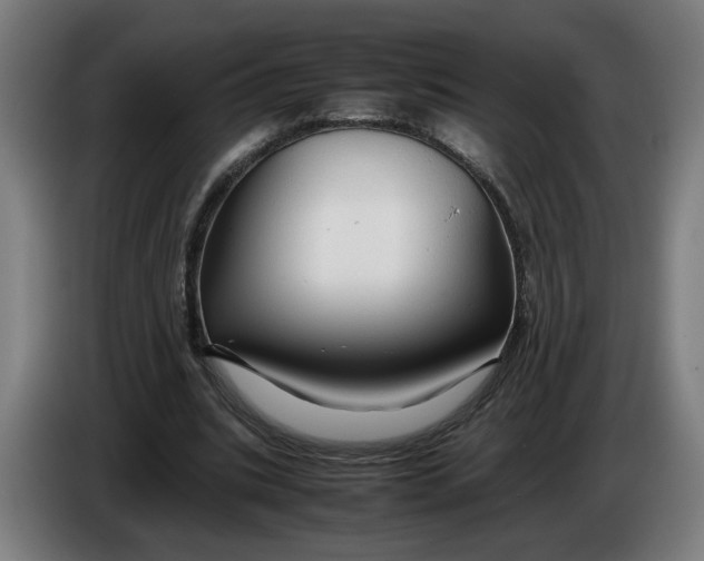 X0000086260535200704191906