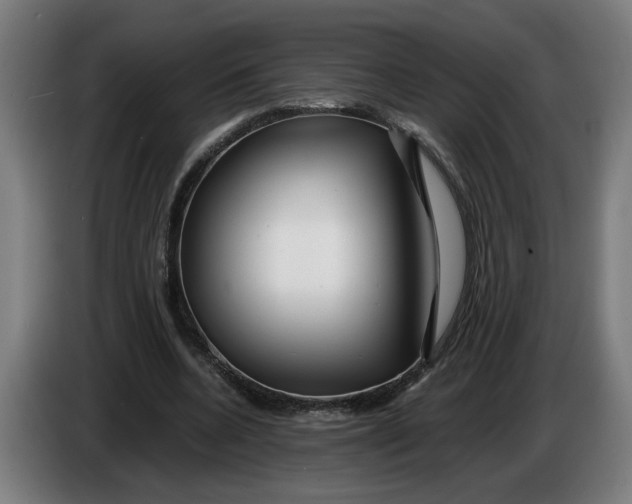 X0000086260536200704191906