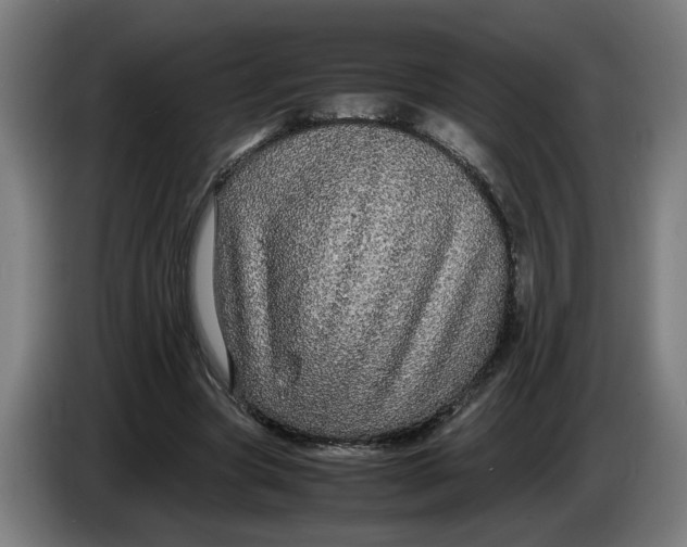 X0000086260537200704191906