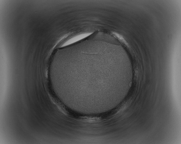 X0000086260539200704191906