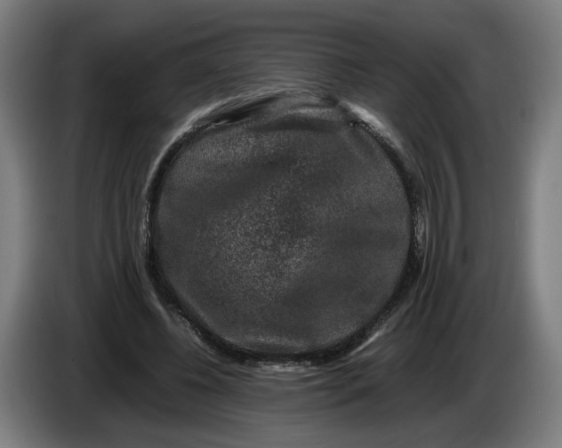 X0000086260540200704191906