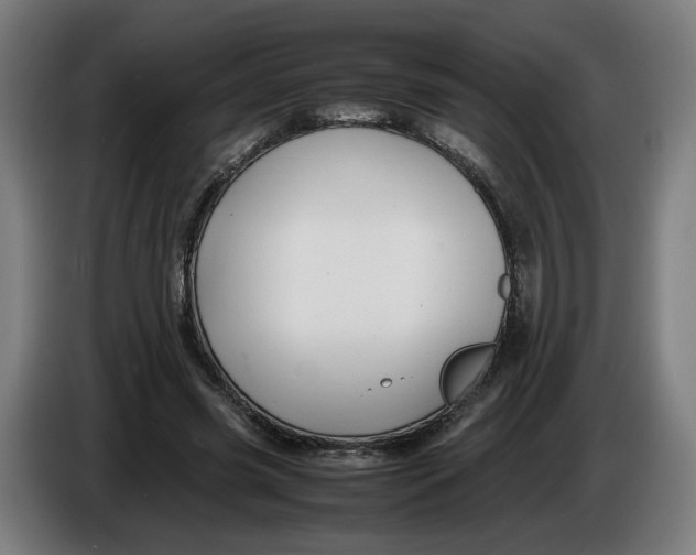 X0000086260541200704191906