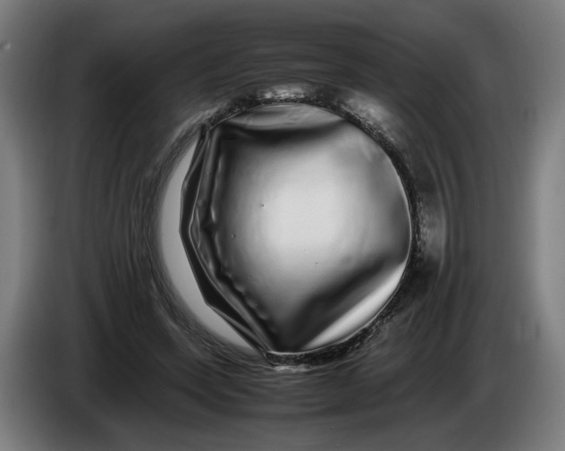 X0000086260543200704191906
