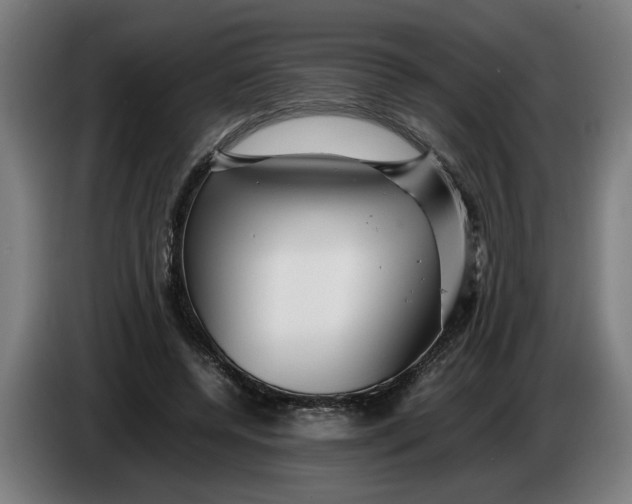 X0000086260544200704191906