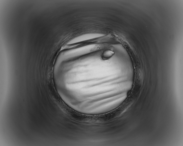 X0000086260545200704191906