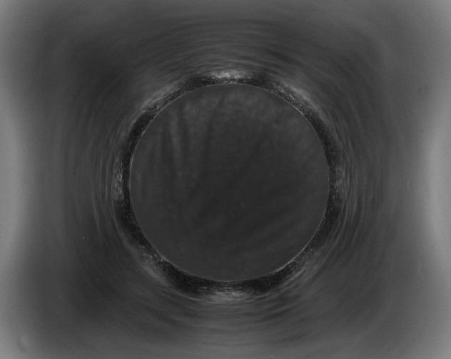 X0000086260547200704191906