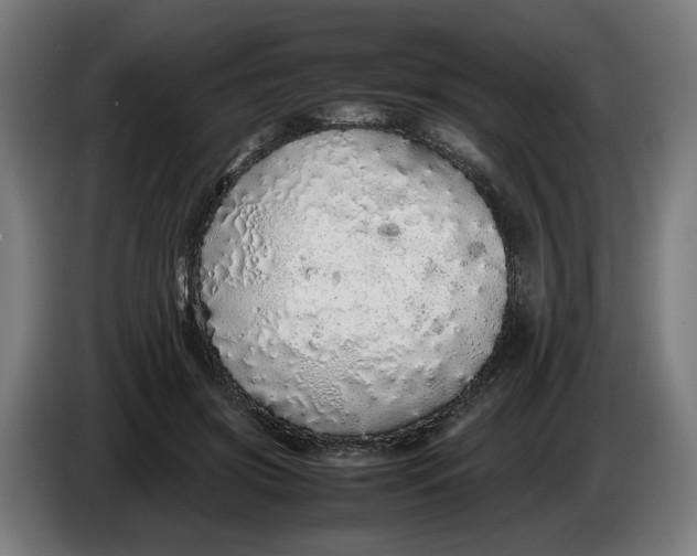 X0000086260549200704191906