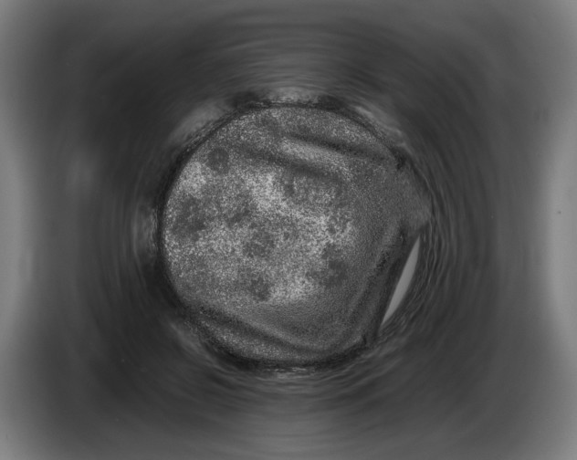 X0000086260550200704191906