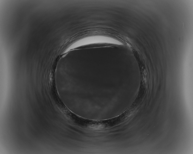 X0000086260551200704191906