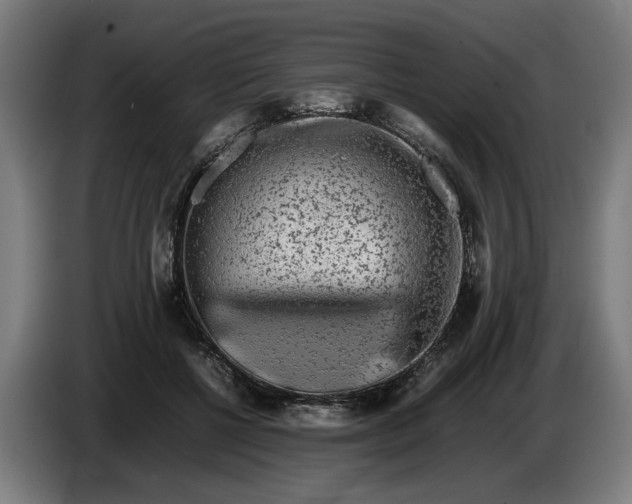 X0000086260552200704191906