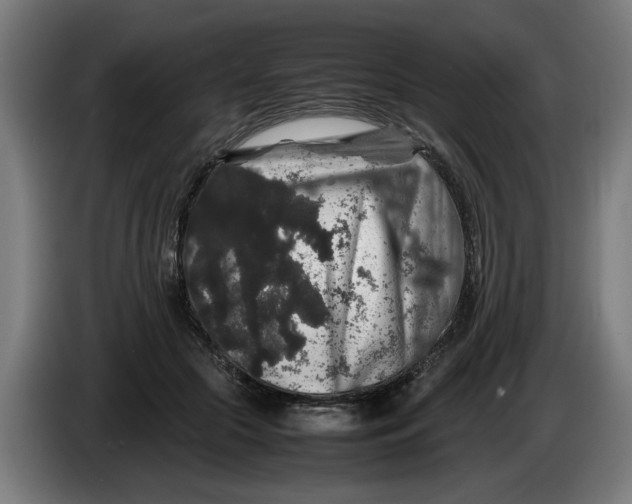 X0000086260553200704191906